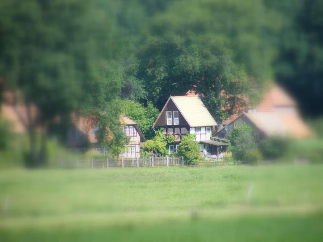 Neu! Bauern-Speicher Anno 1606 Wienhausen Exterior photo